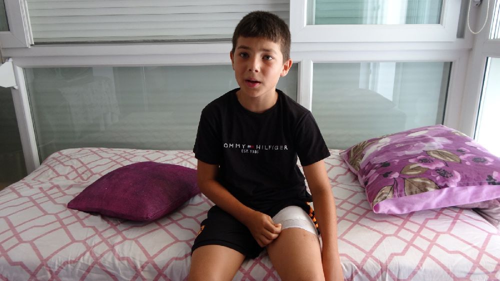 Antalya'da Sokak Köpeğinin Saldırısı Sonucu 11 Yaşındaki Çocuk Yaralandı