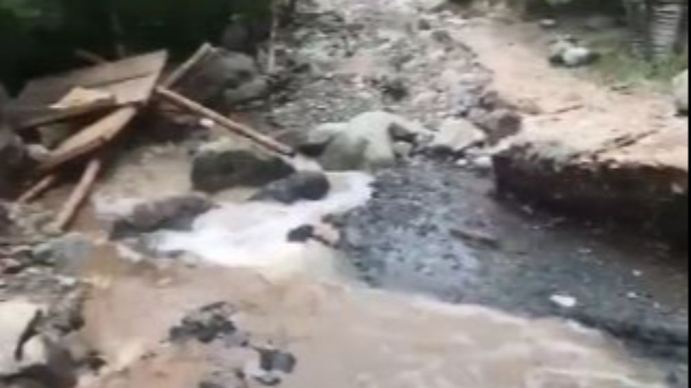Artvin'de etkili olan sağanak yağış sonrası Hatila Vadisi Milli Parkı'na ulaşıma Kapandı 