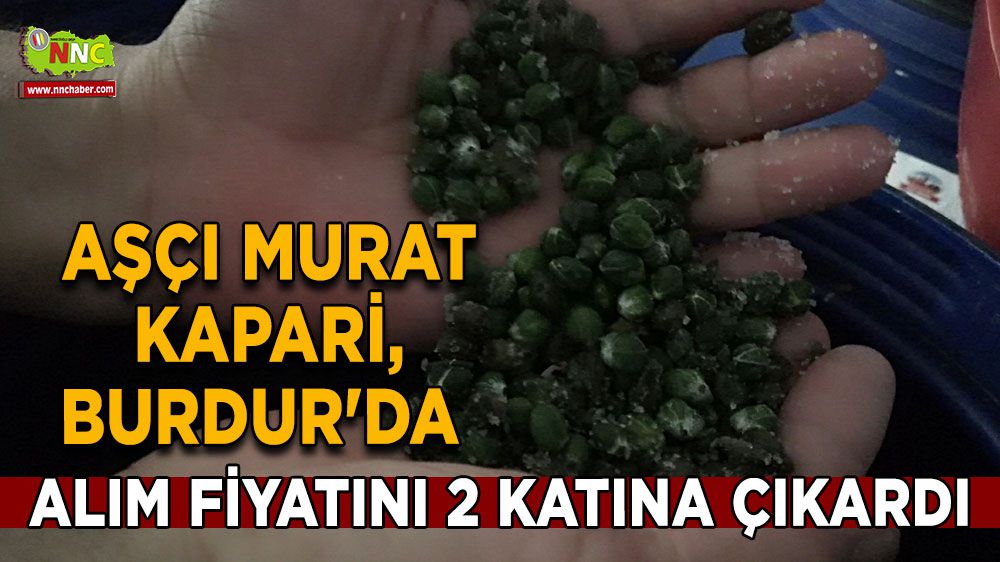 Aşçı Murat Kapari, Burdur'da kapari alım fiyatını 2 katına çıkardı