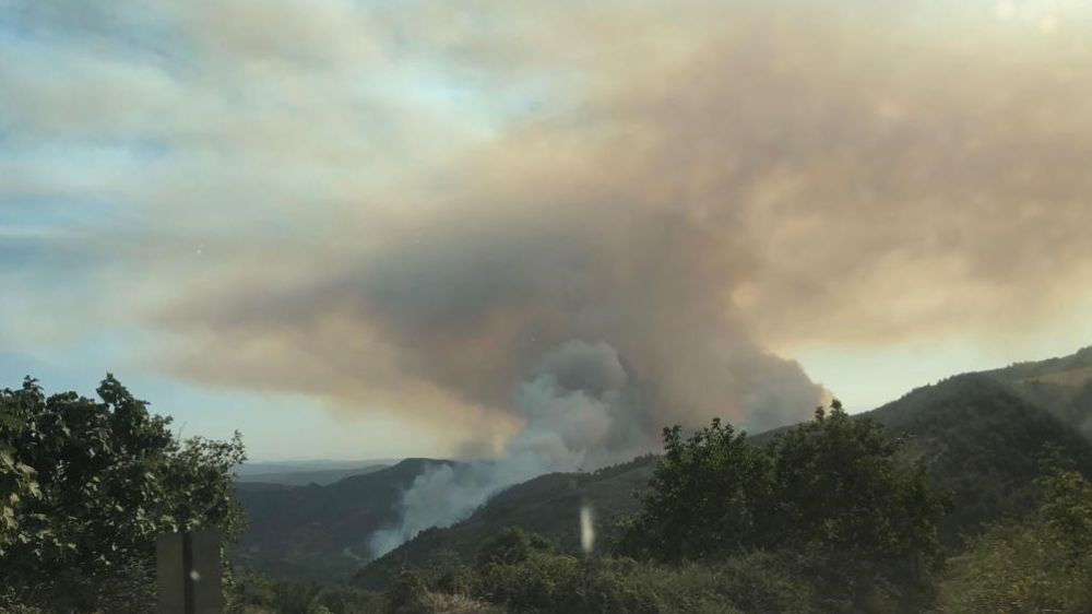 Bilecik’te çıkan orman yangınında kenti duman kapladı 