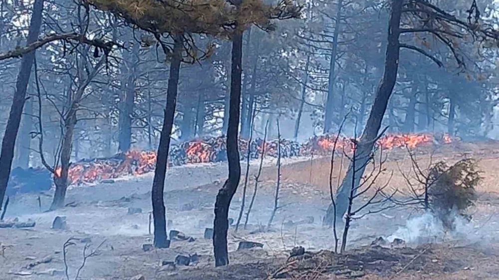 Bolu’da 2 farklı orman yangını