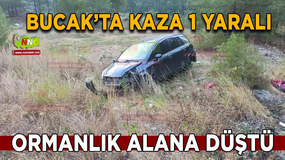 Bucak'ta araç ormanlık alana düştü