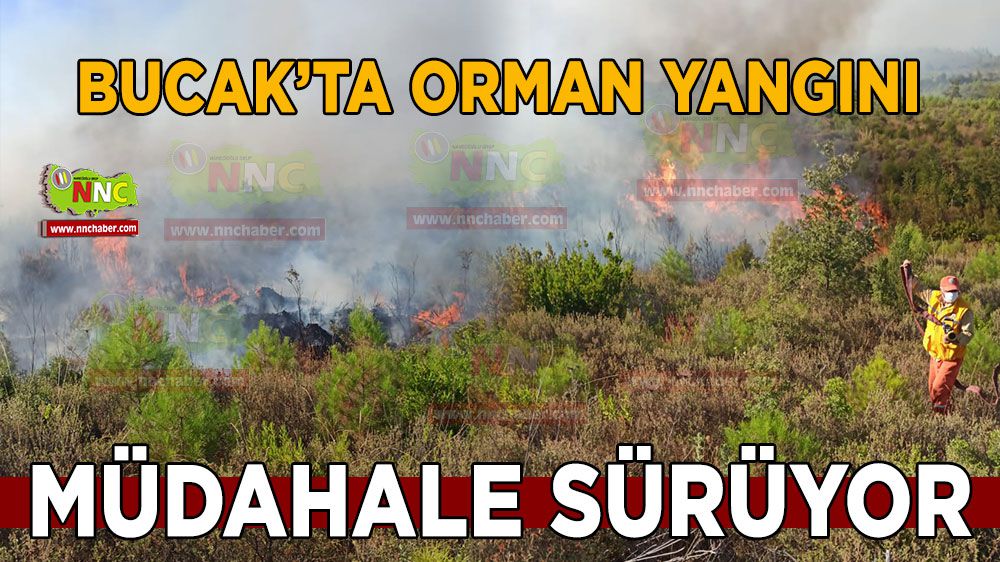 Bucak'ta orman yangına müdahale sürüyor