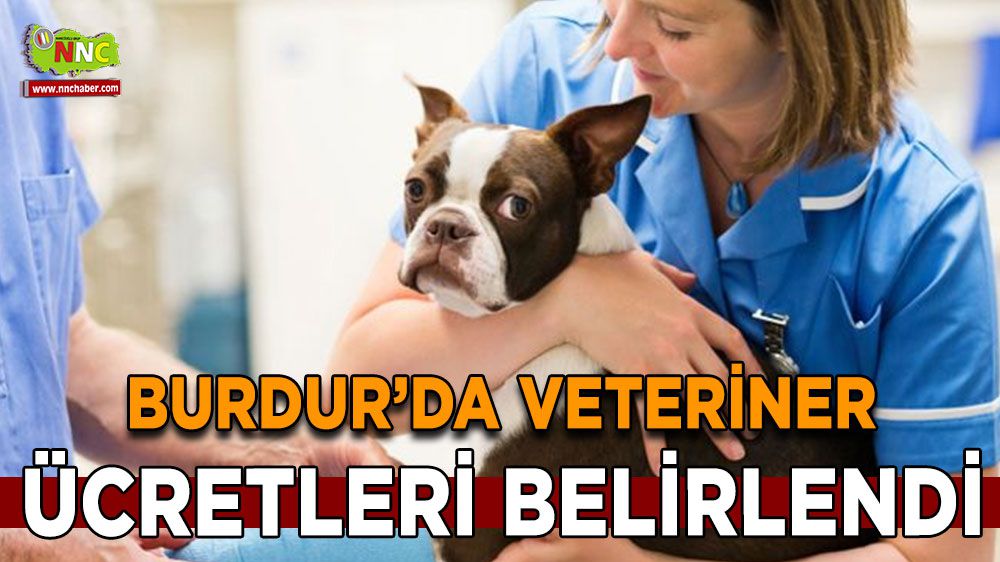 Burdur'da Veteriner Ücretleri Belirlendi