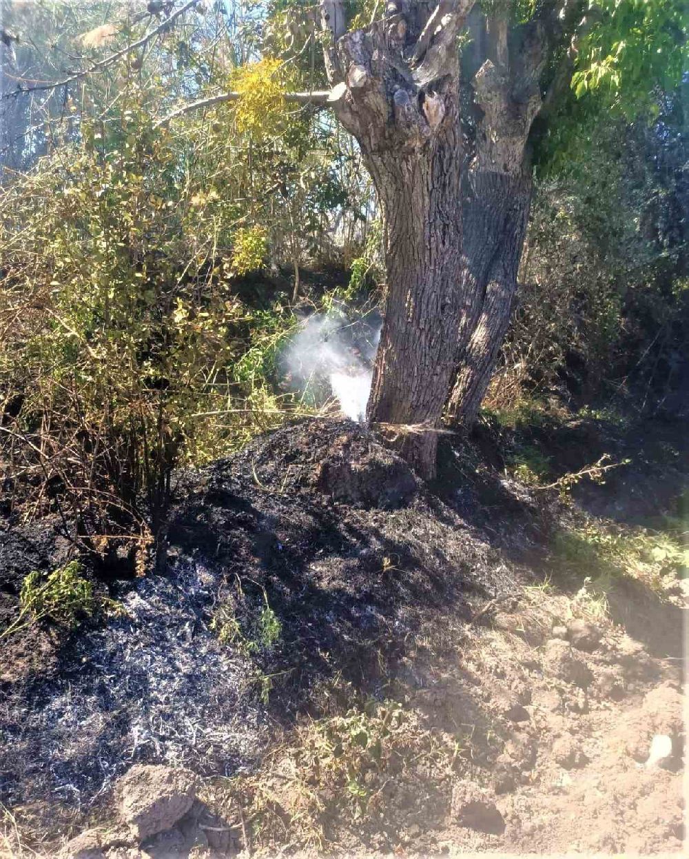 Çankırı'daki ot yangını kontrol altına alındı
