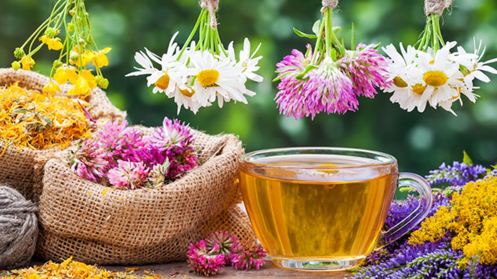 Doğal Lezzetlerin ve Sağlık Faydalarının Keyfi: Bitki Çayları