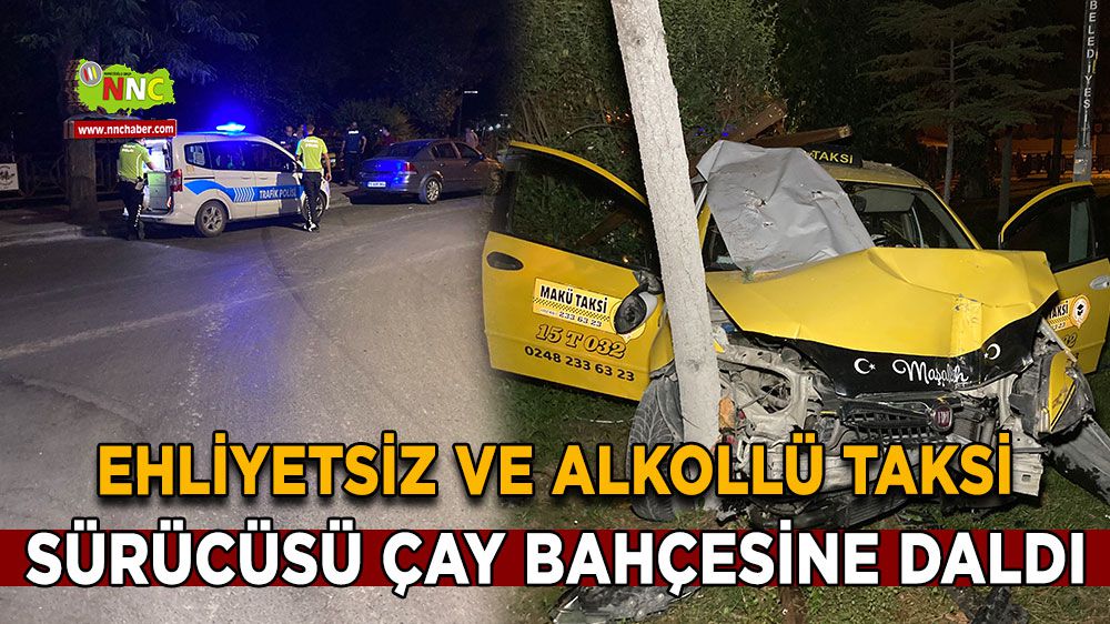 Ehliyetsiz ve Alkollü Taksici, Çay Bahçesine Girdi