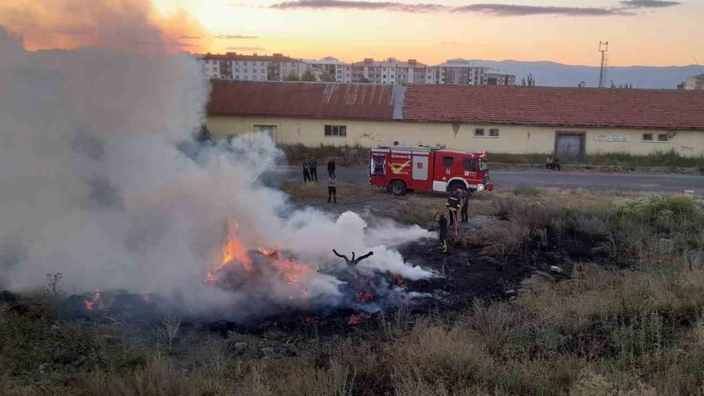 Erzurum'da ot yangını
