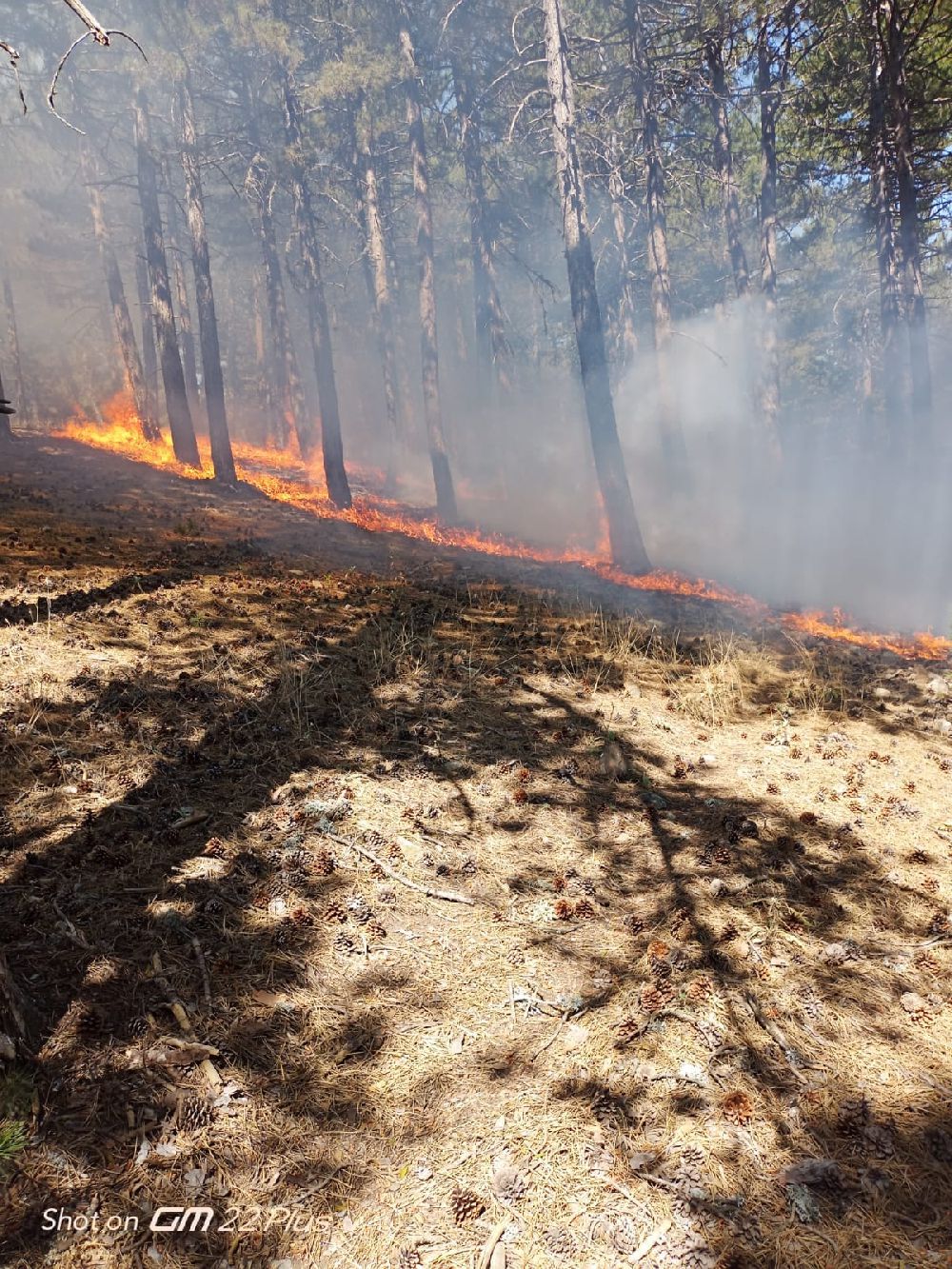Eşeler Dağı'ndaki Yangına Hızlı Müdahale 