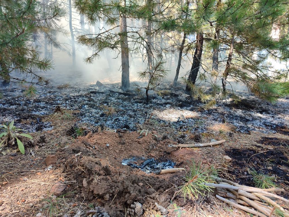 Eşeler Dağı'ndaki Yangına Hızlı Müdahale 