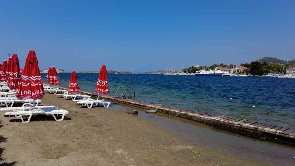 İzmir Foça’da Turizmi Denizanası Sardı , Plajlar Boş Kaldı