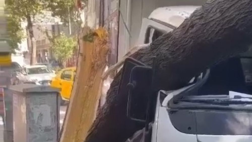 Kırılan Ağaç  Yoldan geçen kamyonete devrildi