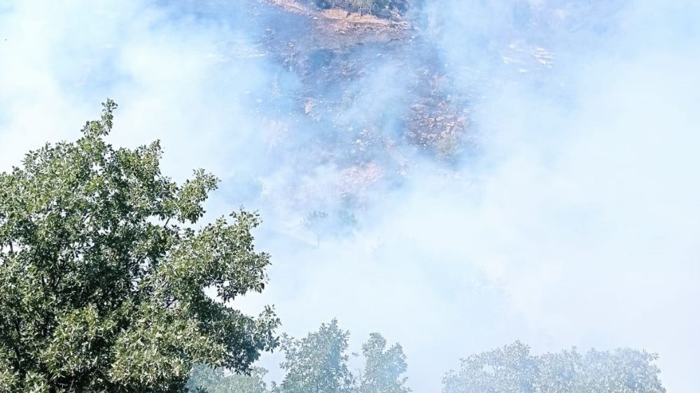 Malatya'da orman yangını 2 yaralı