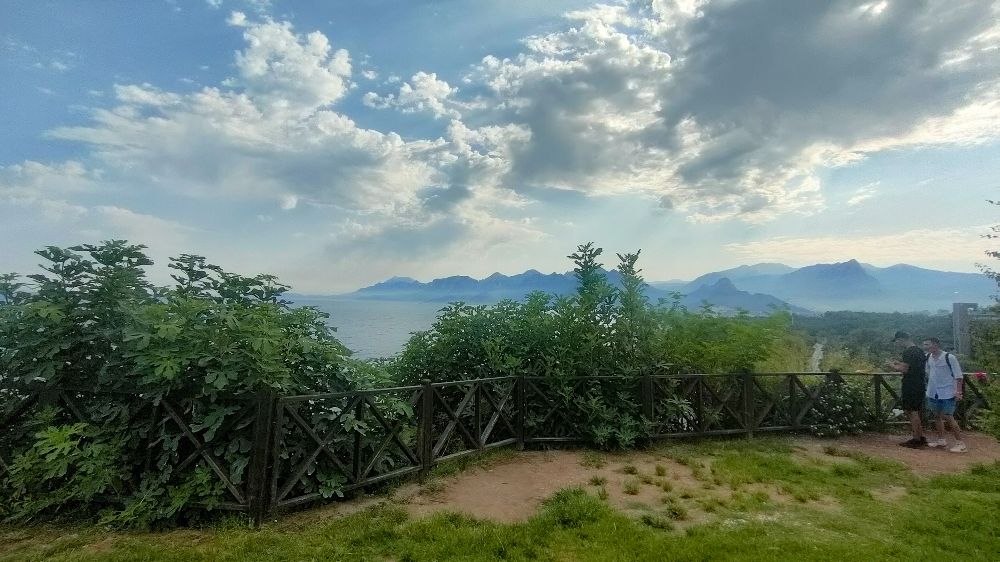 Manzarayı Görüntülemek İsteyenlere Bitki Engeli 