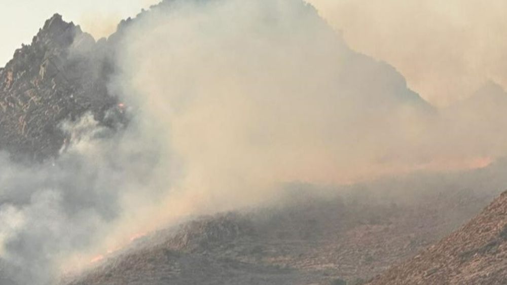 Muğla Bodrum'da Otluk Alan Yangını