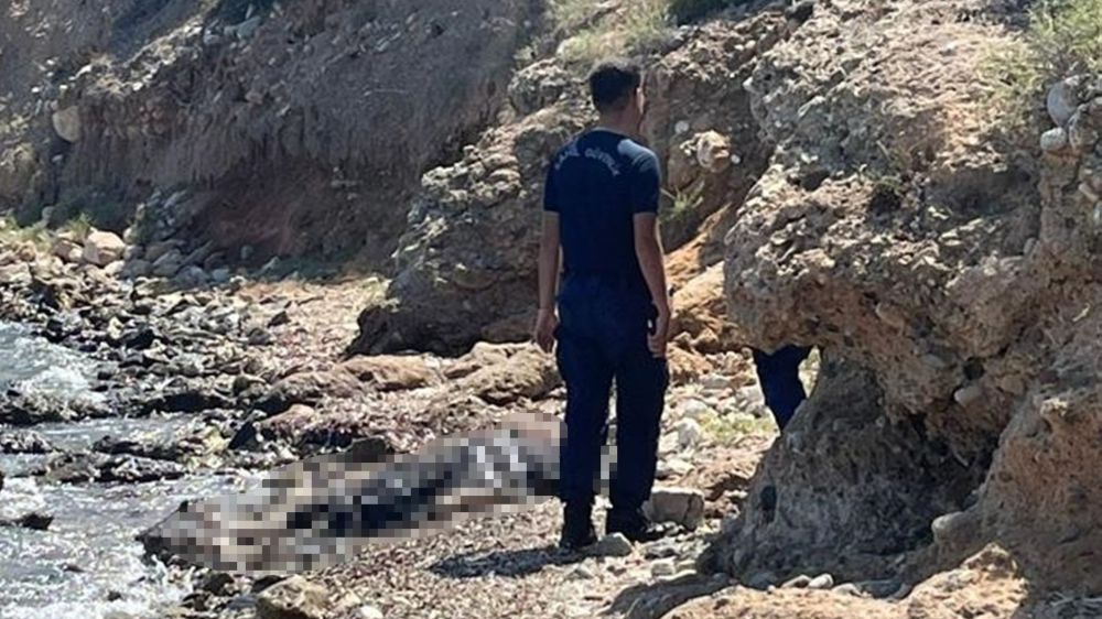  Muğla Datça’da sahilde ceset bulundu