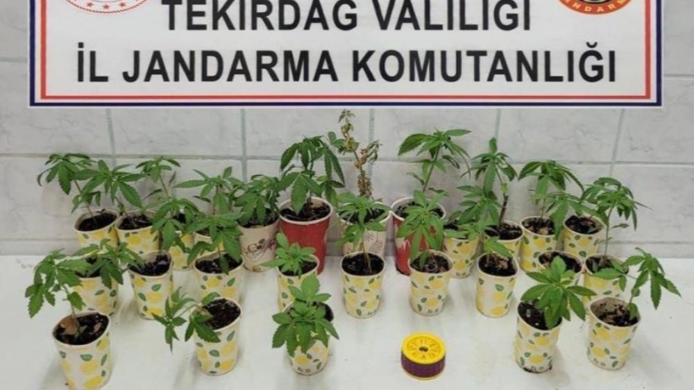  Tekirdağ'da Jandarmadan uyuşturucu operasyonları: 5 gözaltı