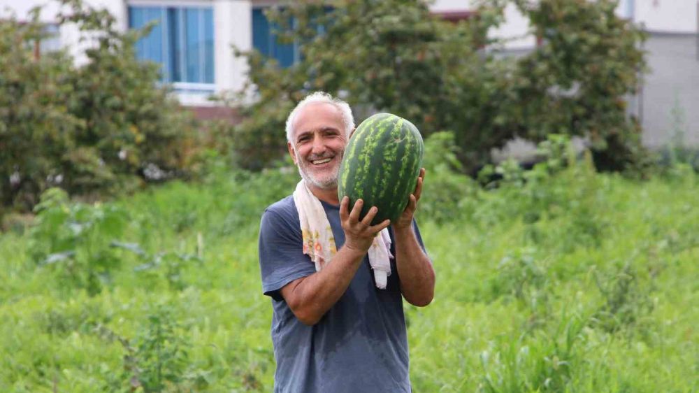 Yalıncak Karpuzu Tehlike Altında