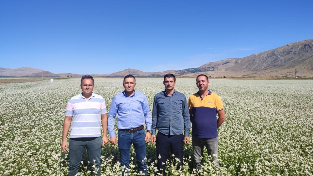 Afyonkarahisar Dinar'da Kara Buğday Sevildi