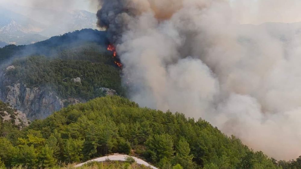 Antalya Alanya  Dimçayı Akköprü  orman yangını