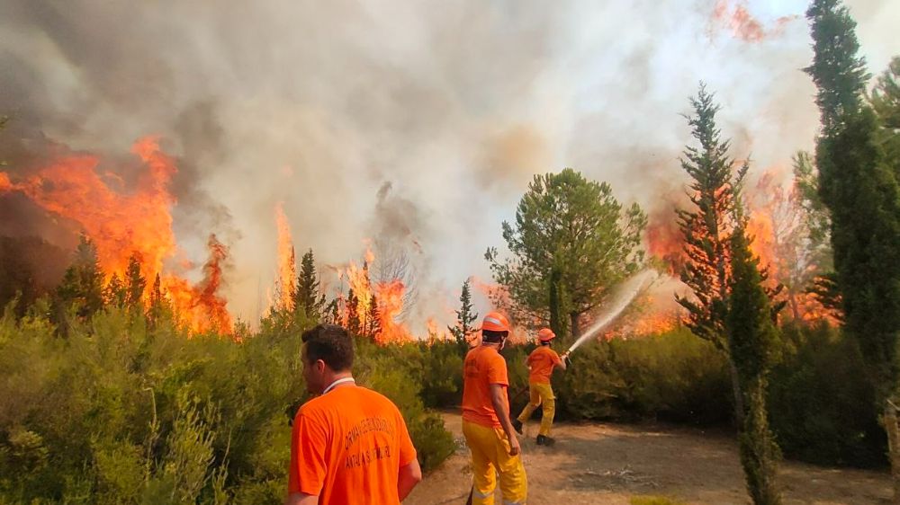Antalya'da yangın | Lüks tekne ve ormanlık alan yandı | Antalya haber