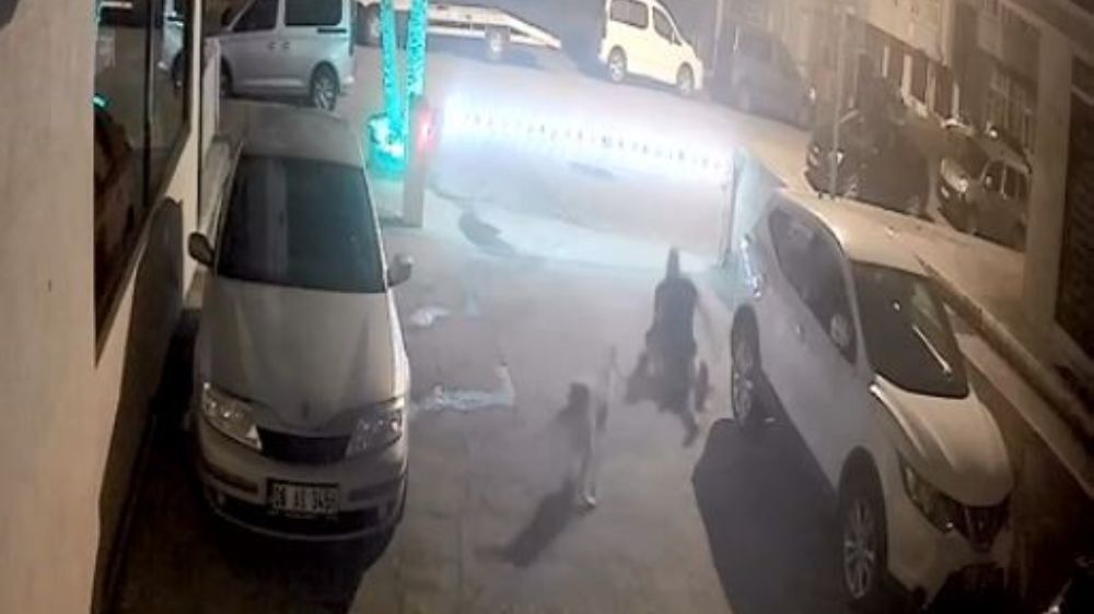 Artvin’de Hopa ilçesinde köpeğin saldırısı güvenlik kamerasına yansıdı