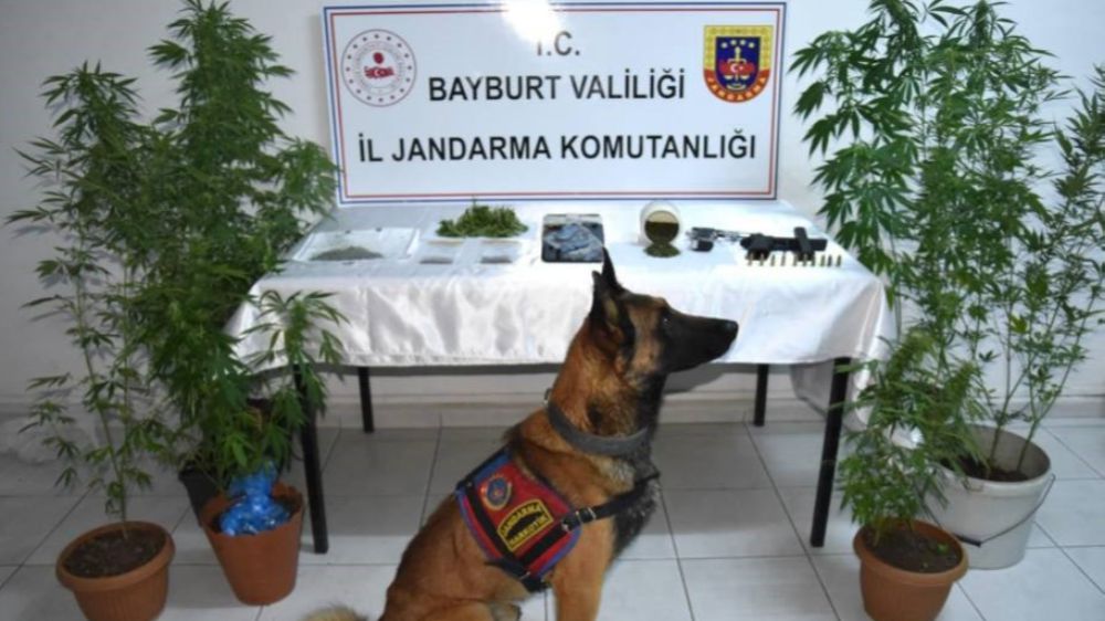 Bayburt'ta uyuşturucu operasyonu: 2 tutuklu