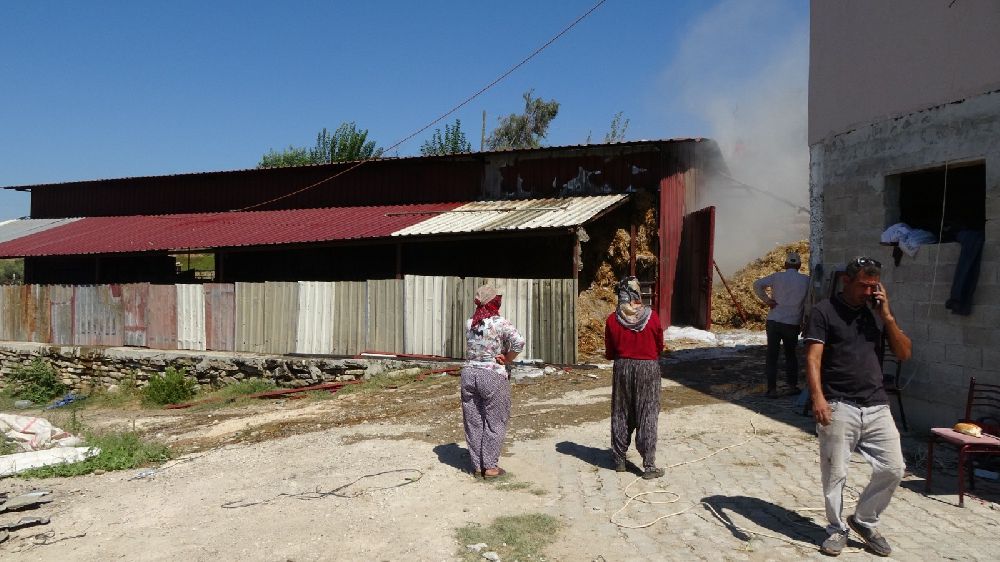 Besihane yangınında Hayvanlar kurtarıldı, 2 bin balya saman yandı