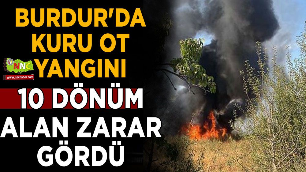 Burdur'da kuru ot yangını: 10 dönüm alan zarar gördü