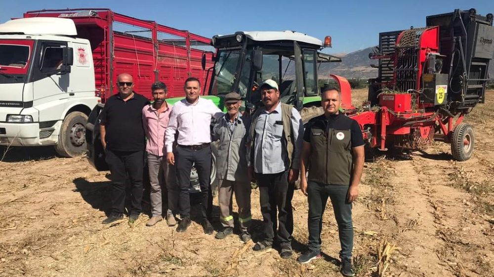 Dinar’da şeker pancarında hasat başladı | Afyonkarahisar haber