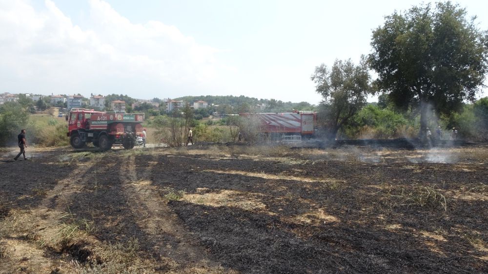  Manavgat'ta Yol kenarında başlayan yangın arı kovanlarına ulaşmadan söndürüldü 