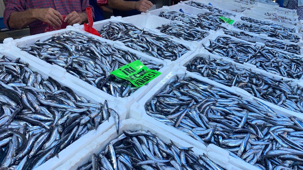 Zonguldak'ta "Balık tezgahları beklenen ilgiyi görmedi"