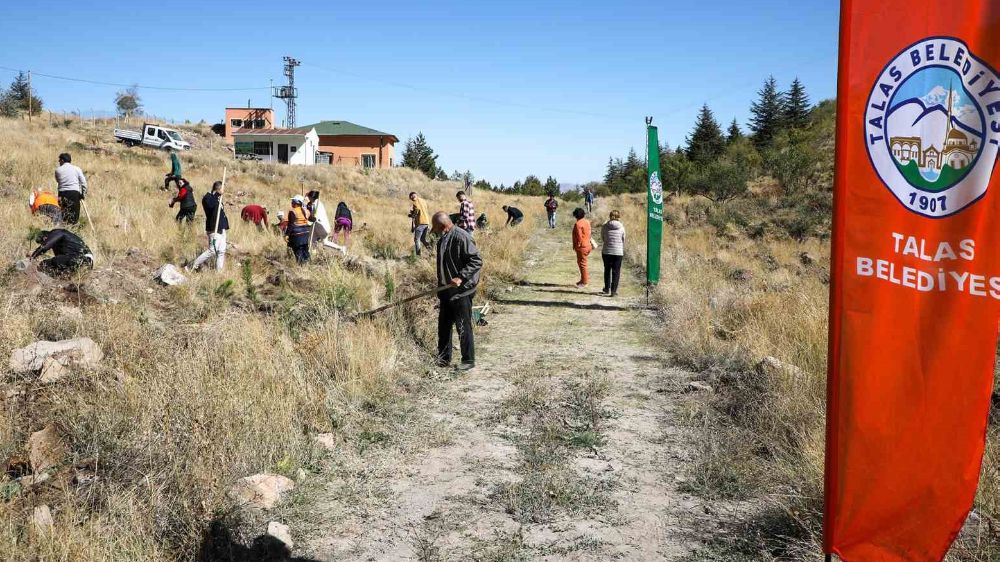 Ali Dağı’da Ağaçlandırma devam ediyor 