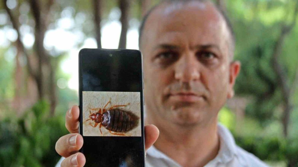 Antalya'da korkutan böcek alarmı