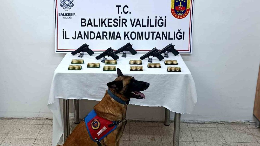 Bomba köpeği 'Vaha' suçluların foyasını ortaya çıkardı