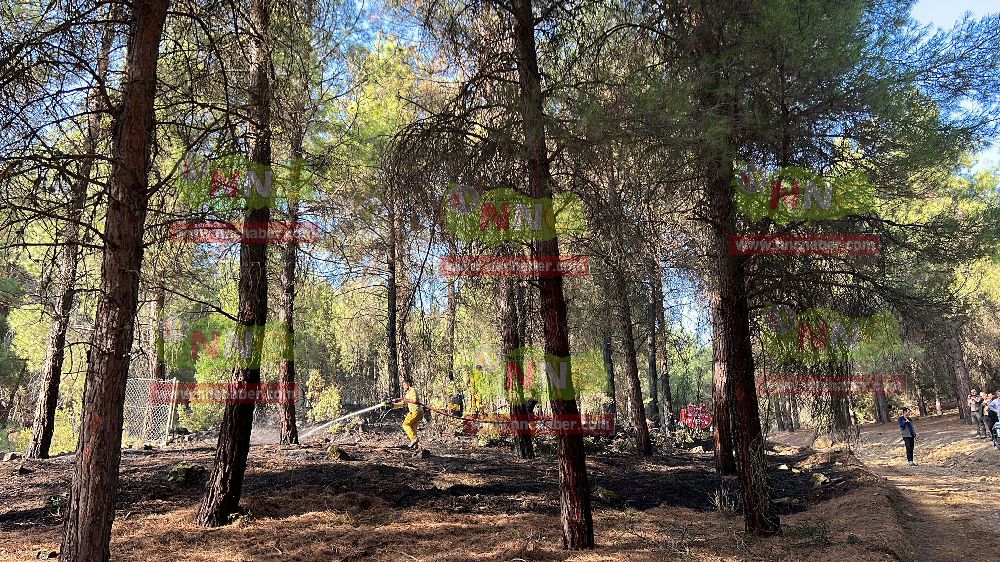 Bucak'ta orman yangını kontrol altına alındı