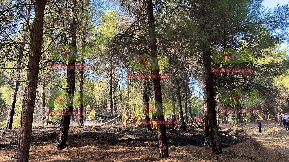Bucak'ta orman yangını kontrol altına alındı