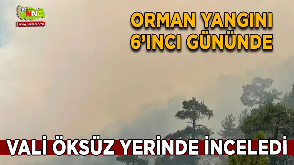 Burdur'da yangın söndürme çalışmaları 6'ıncı gününde