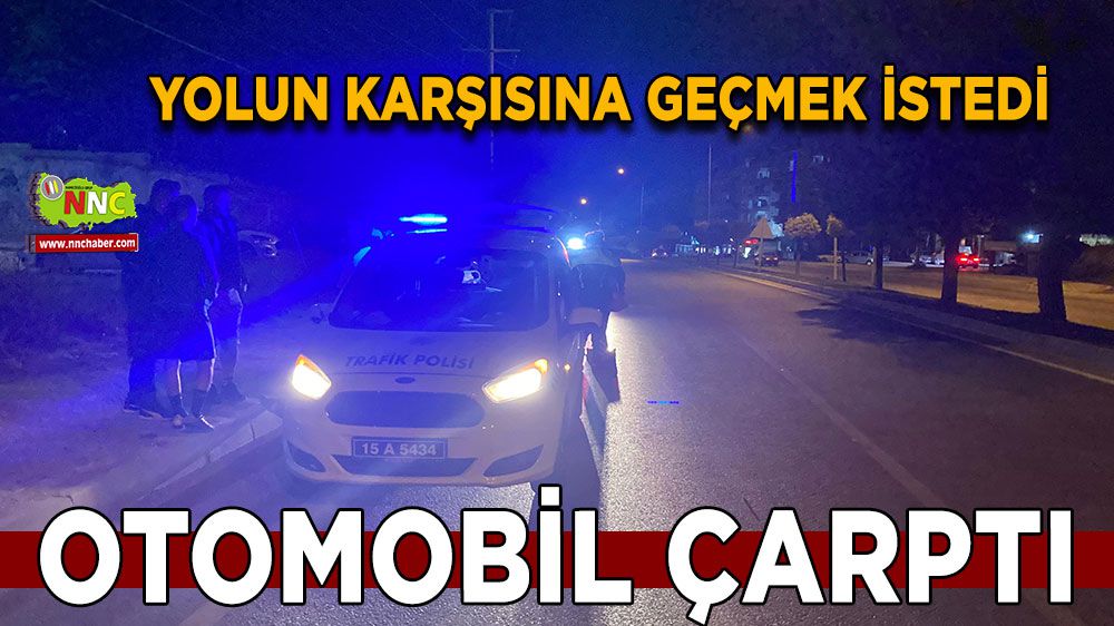 Burdur'da yaya, otomobilin çarpması sonucu yaralandı