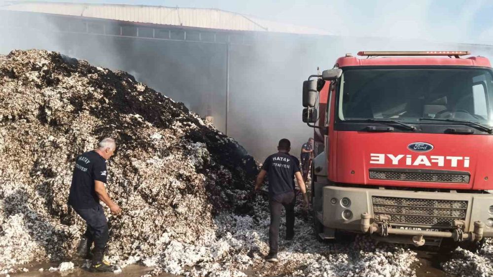 Çırçır fabrikasında yangın 