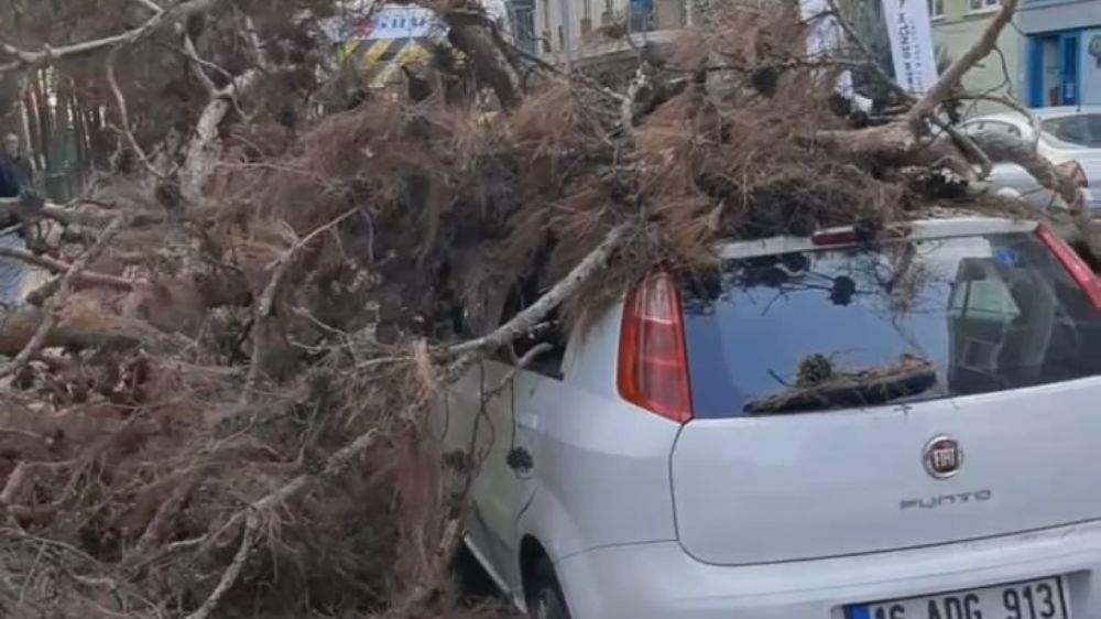 Devrildi , aracın üzerine düştü o anlar kamerada