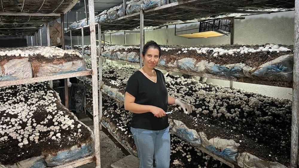 Emetli girişimci kadın kültür mantarının ilk hasadını yaptı 