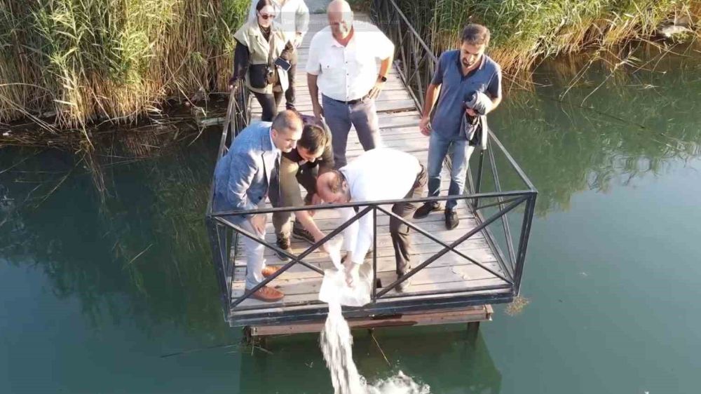 Erzincan’dan balık popülasyonuna  katkı 902 bin sazan balığı yavrusu suya bırakıldı