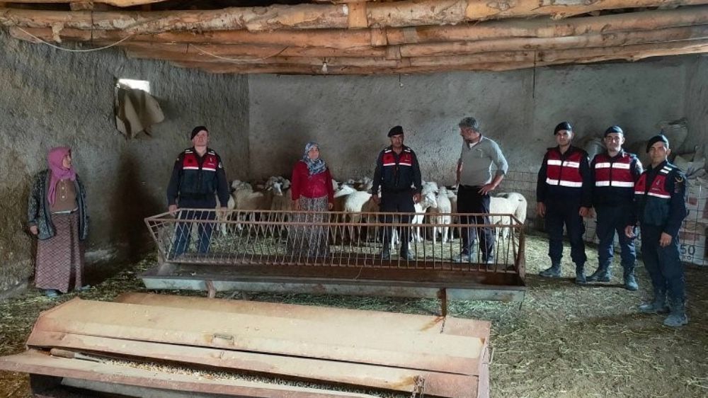 Eskişehir'de kaybolan hayvanları jandarma buldu