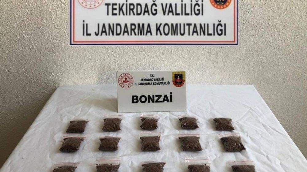 İstanbul'dan Tekirdağ'a uyuşturucu madde getirirken yakalandı