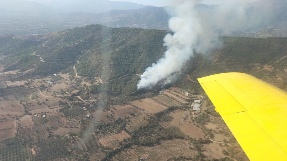 İzmir’de orman yangını; havadan ve karadan müdahale