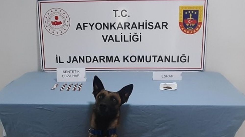 Jandarmadan uyuşturucu  operasyonu