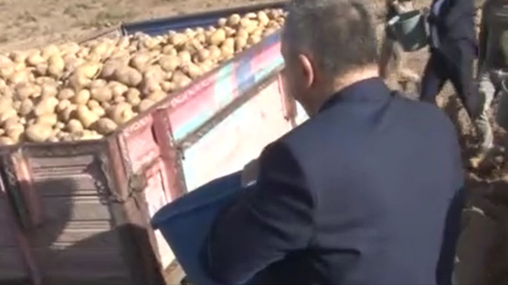 Nevşehir’de patates hasadı zamanı geldi