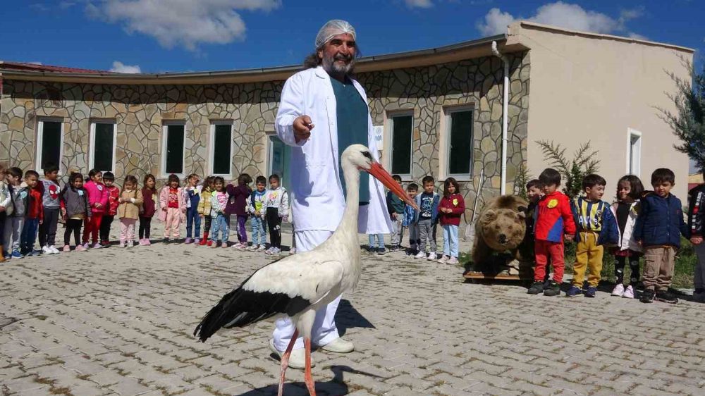 öğrencilerin yaban hayvan ziyareti