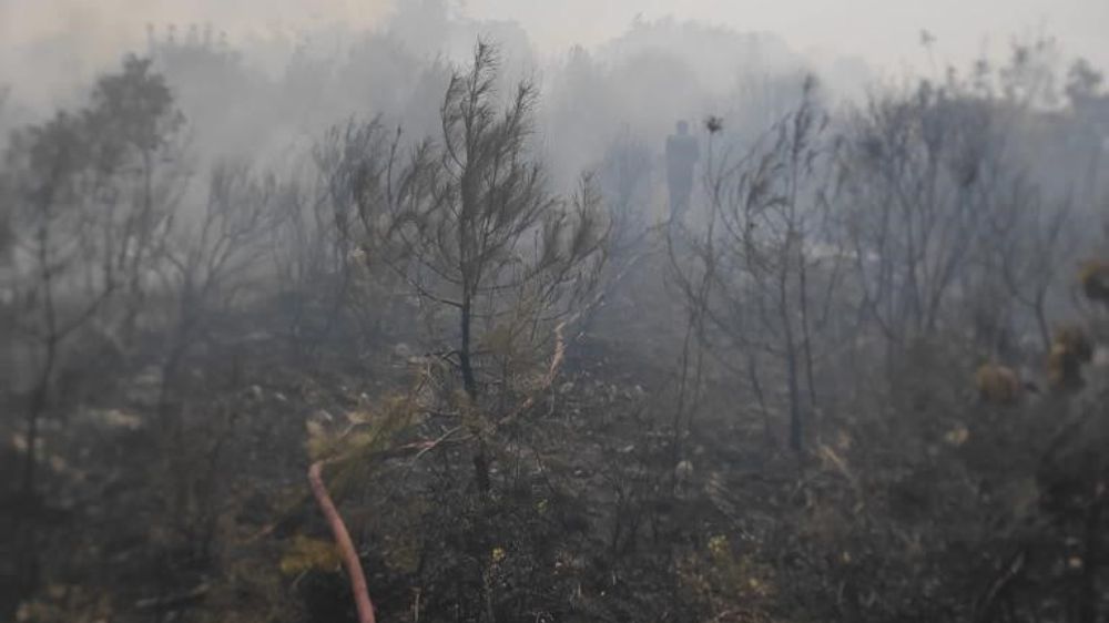 Orman yangınına hemen müdehale edildi 